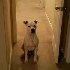 Meet your Posher, Glenn